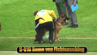 2010 SV BSZS NKGR part 8 Remo von Fichtenschlag HD [upl. by Twyla]