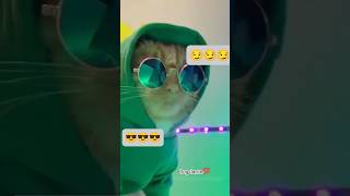 Best dog dance💯editori channel all adites videos [upl. by Apfel484]