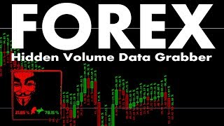 Forex Hidden Volume Data Grabber  Candle Power Pro v10 [upl. by Atalanti]