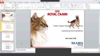 What you need to know on URI in cats [upl. by Orman525]