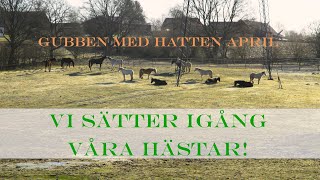 Gubben Med Hatten April 2022  Vi sätter igång träningen av våra hästar [upl. by Eeleimaj]