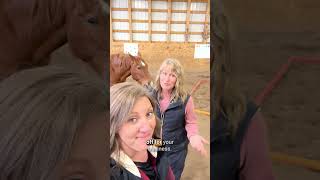 Get Certified With The Equine Connection  The Academy of Equine Assisted Learning [upl. by Borchers]