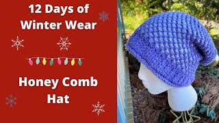 6 Tunisian Crochet Honey Comb Hat  12 Days of Winter Wear [upl. by Aldin101]