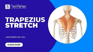 Trapezius Muscle  How to Stretch [upl. by Yedok]