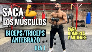 Rutina de BRAZOS entrena tus Bíceps Tríceps y Antebrazos 25 Min Ejercicios para SACAR LOS MUSCULOS [upl. by Yengac]