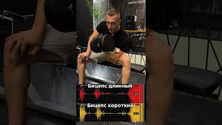 EMG electromyography  is a technique for measuring the electrical activity of muscles [upl. by Pirzada]