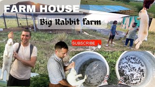 Rabbit Farm near Nalgonda amp Fish Farming Plans and planning for giveaway 🎁 fishfarming hindi [upl. by Eisac]