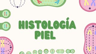 Histología de la Piel Estructura y Función [upl. by Atiuqrahs]