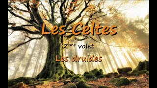 Les Celtes 2ème volet  Les druides [upl. by Anial]