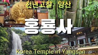 카페추천 Yangsan Cafe near Busan  양산카페 경남 가볼만한 핫플  알프스 뷰 카페 부산카페 부산근교 [upl. by Willock]