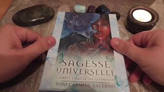 Revue de loracle quotSagesse Universellequot de Toni Carmine Salerno [upl. by Yecart]