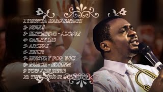 Nathaniel Bassey best worship songs mix 2023 [upl. by Acirrej]