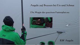 Angeln auf Brassen Skimmer bei Eis und Schnee mit Erde und Mückenlarven zum Zielfisch [upl. by Ribal]