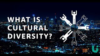 What is cultural diversity  Language Insight [upl. by Leta]