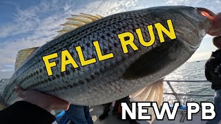 Fishing For GIANT Striped Bass Off Party Boat NEW PB highlight [upl. by Haneen]