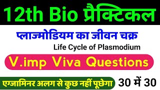 12th Biology Practical Viva  life cycle of plasmodium Viva Questions Class 12  12th Biology Viva [upl. by Nnylaf]