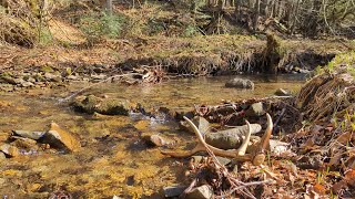 Zrzuty  Czwarta i piąta tyka sezonu [upl. by Nonnaehr]