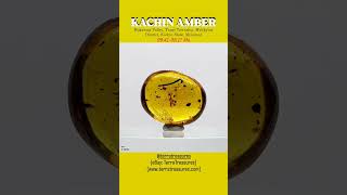 Kachin Amber Burmite Inclusions and Stressinduced Birefringence [upl. by Nomled]