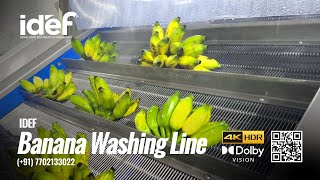 Banana Washing Line Banana Washer Vegetable Washer Fruit Washer IDEF [upl. by Uzial576]