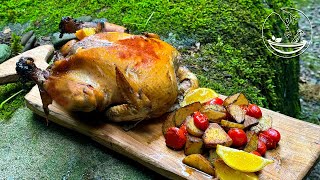 🔥Delicious Whole Chicken Recipe Cooked Over a Fire With honey sauce and beer  Cooking in Nature 🔥 [upl. by Azilef]