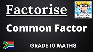 Factorising grade 10 Common Factor Revision [upl. by Annenn253]