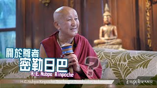 關於尊者密勒日巴？About Milarepa？HE Nubpa Rinpoche 4k 中文字幕 [upl. by Abih]