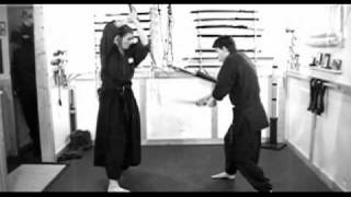 IAIJUTSU TRAINING ⛩ Samurai Sword Fighting Techniques 2010 Keiko Workshop [upl. by Ahsek365]