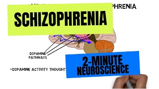 2Minute Neuroscience Schizophrenia [upl. by Hare770]