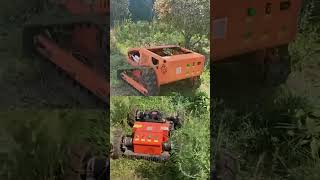 shorts lawncare snowmobile Let Vigorun remote control track grass cutter help you [upl. by Bluma]