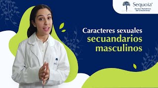 Caracteres sexuales secundarios masculinos [upl. by Eikram]