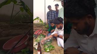 Ghar Puja 🎋🙏 trending new viralvideo nature [upl. by Fax139]