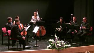 Beethoven Septet Kfar Blum Festival 2013 [upl. by Gilda287]