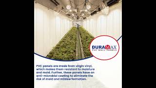 Grow Room Vinyl Panels A Practical Solution for Indoor Farming [upl. by Artkele771]