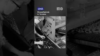 🎞️ Een kijkje in een Mosselfabriek 1965 Shorts [upl. by Edmanda]