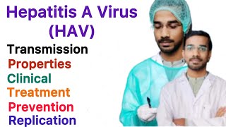 Hepatitis A Virus HAV  Properties  Pathogenesis  Clinical  Diagnosis  Treatment  Prevention [upl. by Stearns320]