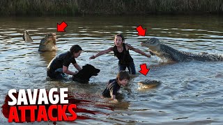 The Most SAVAGE Alligator Attacks MARATHON [upl. by Wolsniw]