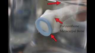 Potential Model to Explain Refractory PeriodParaphysiological Space Associated with Manipulation [upl. by Hazeefah]