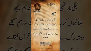 Best Poetry Line By Allama iqbal trading deeppoetryline [upl. by Crisey]