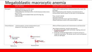 Macrocytic anemia  Hematology  Step 1 Simplified [upl. by Fermin]