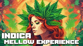 INDICA Mellow Cannabis Experience Music Playlist  Weed Dope Smoke Relax [upl. by Gemini]