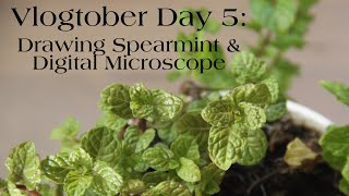 Vlogtober Day 5 Drawing Spearmint amp Digital Microscope [upl. by Ahtel]