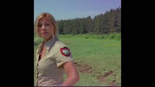 Lake Placid 2 2007  Crocodile Movie [upl. by Ehctav]