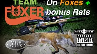 6 Foxes plus some bonus Rat footage with Team Foxer [upl. by Hill]