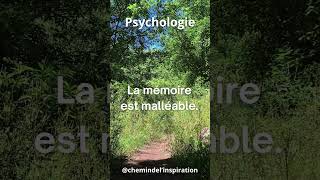 psychologie motivation inspiration [upl. by Doro]