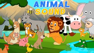 Animal Sounds Song  Best Animal Sounds Song  Baby Song  Kids Song [upl. by Philipson]