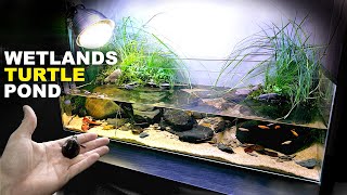 Aquascape Tutorial Turtle Aquarium  Vivarium  Paludarium how to step by step planted tank guide [upl. by David441]