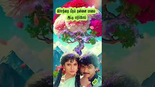 Tamil தமிழ் tamilsadsong tamilsongs tamilsong vijay ilayaraja spb mano tamillovesong kjs [upl. by Chelsea]