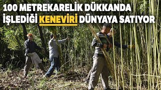 Keneviri Dünyaya Satıyor Bölgemizin Tohum İhtiyacını Karşılamak İstiyoruz [upl. by Jermayne]