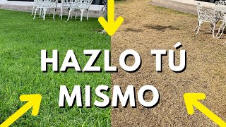 ❤️ Cómo REVIVIR un Pasto Seco  👉🏼 3 soluciones lowcost 📉 [upl. by Ingaberg]