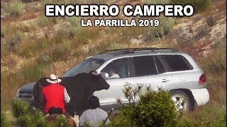 Cuidado en el Coche Encierro Campero La Parrilla 2019 [upl. by Euqirne619]